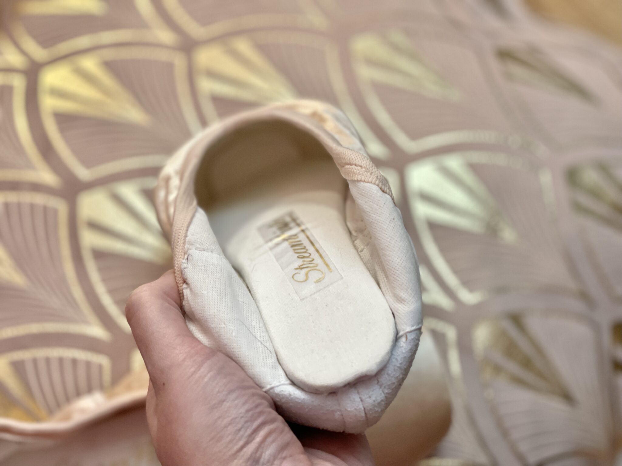 grishko stream pointe nikolay stream pointe upgraded version of smart